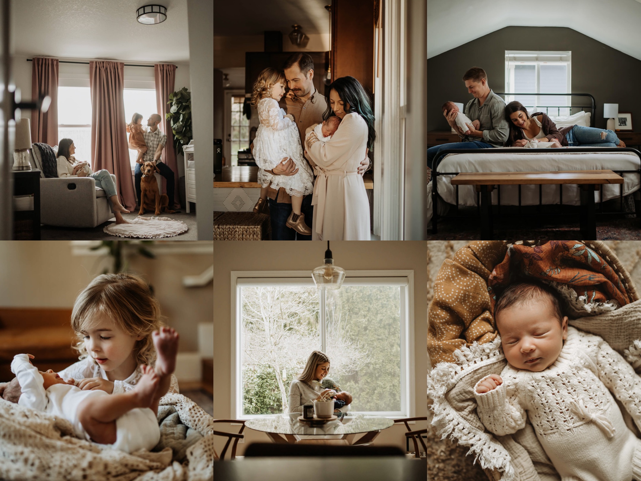 6 photos of newborn babies and their famlies